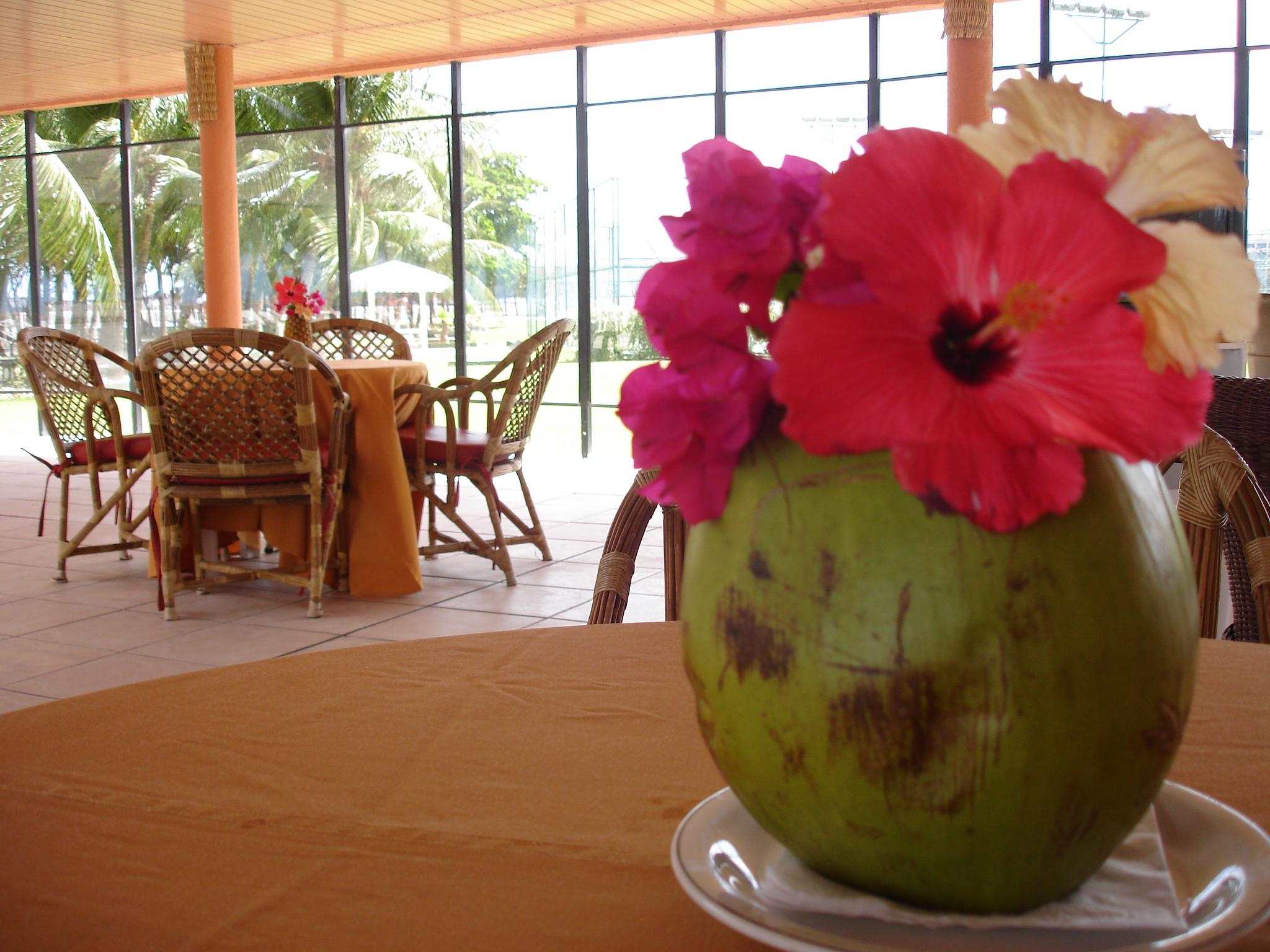 Marina Park Hotel Fortaleza  Exteriér fotografie A coconut flower
